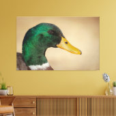 Mallard Drake Canvas Afdruk (Insitu (Woonkamer))