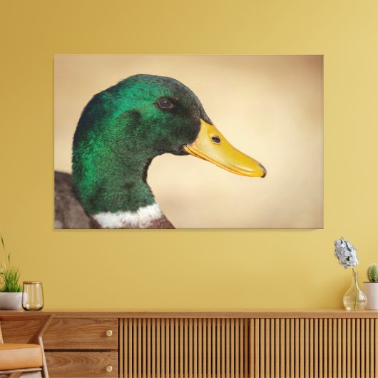 Mallard Drake Canvas Afdruk (Insitu (Woonkamer))