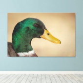 Mallard Drake Canvas Afdruk (Insitu (Houten vloer))