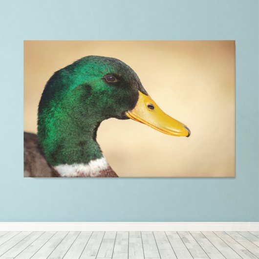 Mallard Drake Canvas Afdruk (Insitu (Houten vloer))