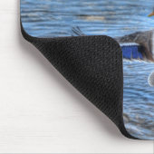 Mallard Drake & Duck Birdlover Wildlife Foto Muismat (Hoek)