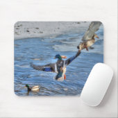 Mallard Drake & Duck Birdlover Wildlife Foto Muismat (Met muis)