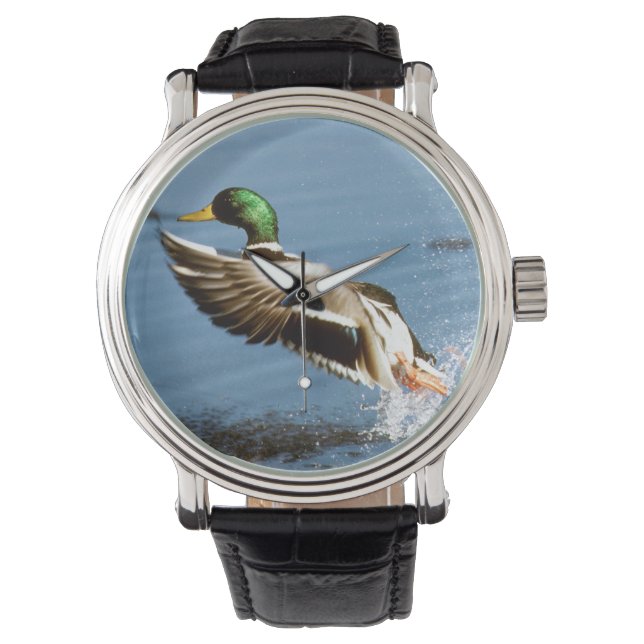 Mallard Drake Duck Horloge (Voorkant)