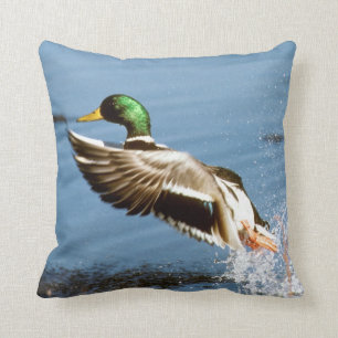 Mallard Drake Duck Kussen