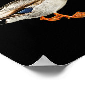 Mallard Drake Duck Pocket Logo Mallard Ducks Hunti Poster (Hoek)
