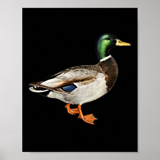 Mallard Drake Duck Pocket Logo Mallard Ducks Hunti Poster (Voorkant)