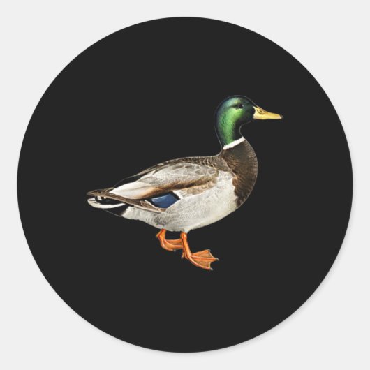 Mallard Drake Duck Pocket Logo Mallard Ducks Hunti Ronde Sticker (Voorkant)