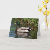 Mallard Drake Ducklings Foto Vaderdag Kaart (Gele Bloem)