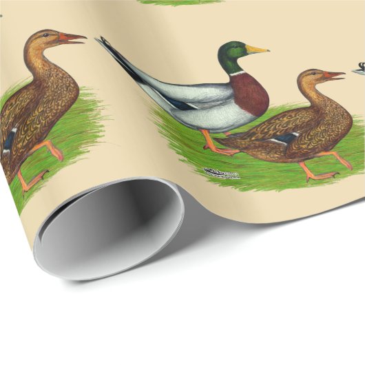 Mallard Drake en Duck Cadeaupapier (Rol Hoek)
