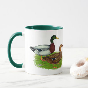 Mallard Drake en Duck Mok