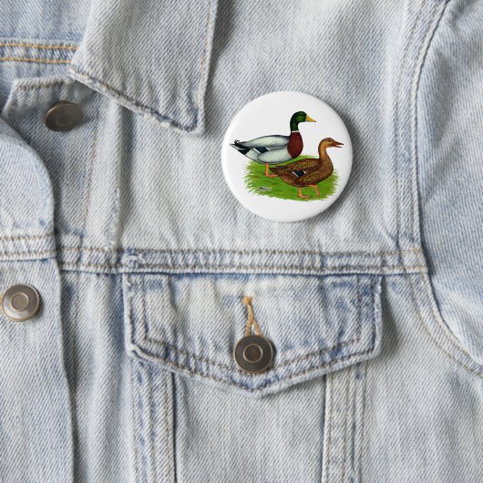Mallard Drake en Duck Ronde Button 5,7 Cm (In situ)