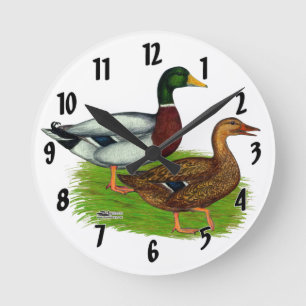 Mallard Drake en Duck Ronde Klok
