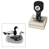 Mallard Drake en Duck Rubberstempel (Gestempeld)
