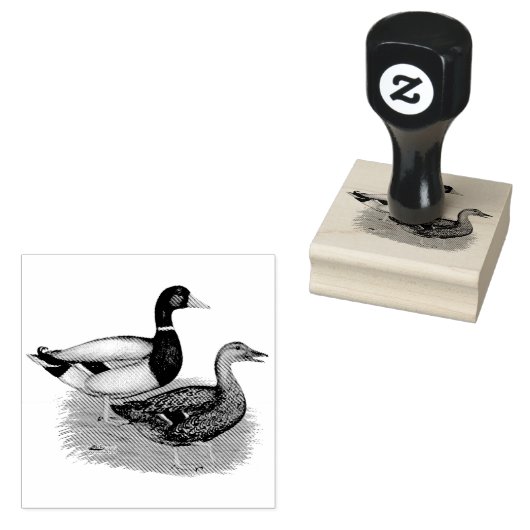 Mallard Drake en Duck Rubberstempel (Gestempeld)