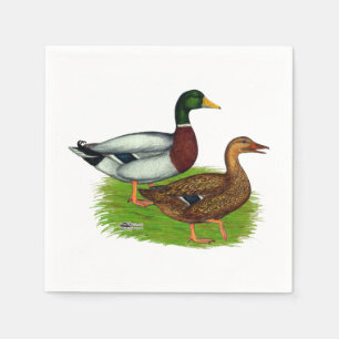 Mallard Drake en Duck Servet