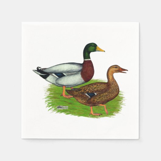 Mallard Drake en Duck Servet (Voorkant)