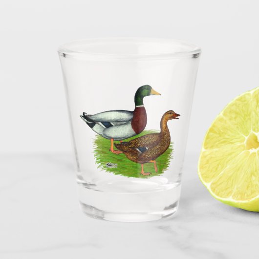 Mallard Drake en Duck Shot Glas (Voorkant)