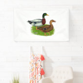 Mallard Drake en Duck Spandoek (Insitu)