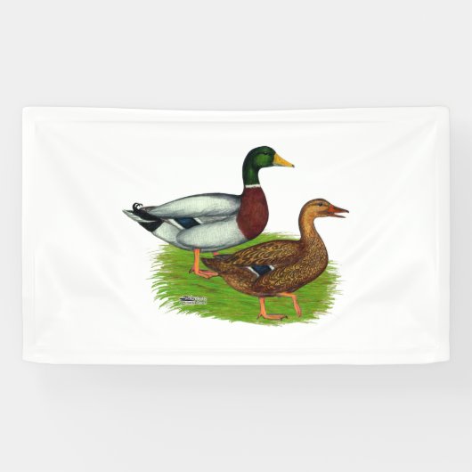 Mallard Drake en Duck Spandoek (Horizontaal)