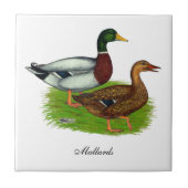Mallard Drake en Duck Tegeltje (Voorkant)
