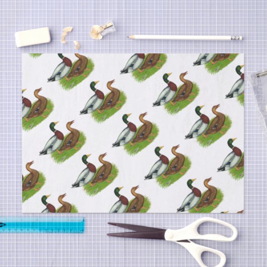 Mallard Drake en Duck Tissuepapier (Craft)