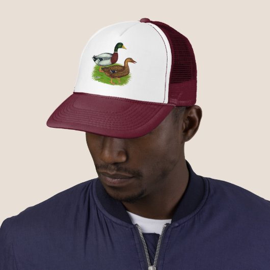 Mallard Drake en Duck Trucker Pet (In situ)