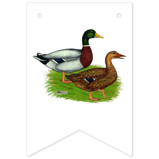 Mallard Drake en Duck Vlaggetjes (Tweede vlag)