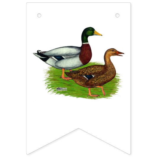 Mallard Drake en Duck Vlaggetjes (Eerste vlag)