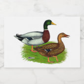 Mallard Drake en Duck Voedselcontainer Etiket (Enkel label)