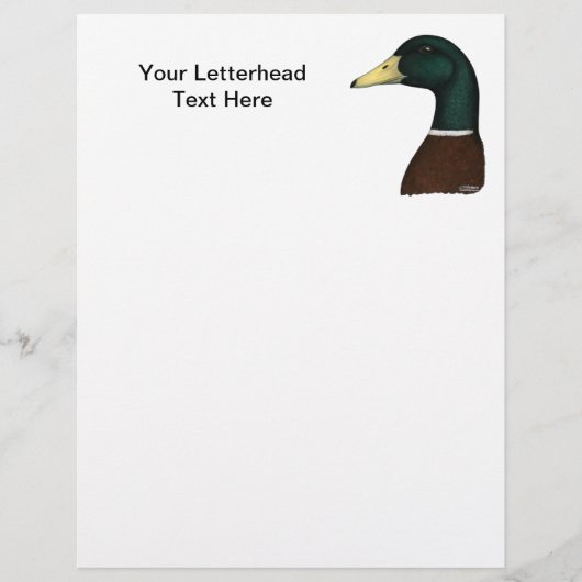 Mallard Drake Head (Voorkant)