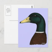 Mallard Drake Head Briefkaart (Voorkant / Achterkant)