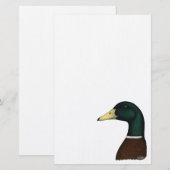Mallard Drake Head Briefpapier (Voorkant / Achterkant)