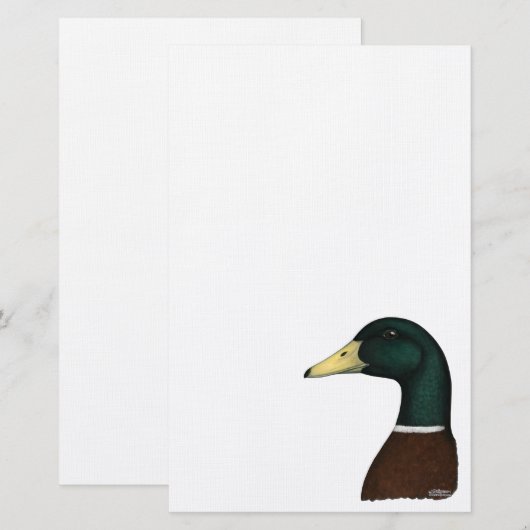 Mallard Drake Head Briefpapier (Voorkant / Achterkant)