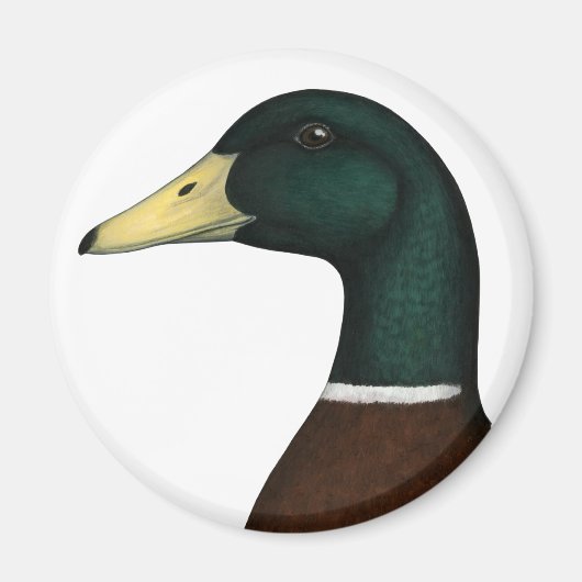 Mallard Drake Head Magneet (Voorkant)