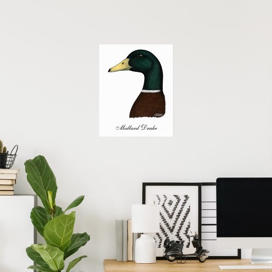 Mallard Drake Head Poster (Thuiskantoor)