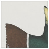 Mallard Drake Head Stof (Close Up)