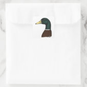Mallard Drake Head Vierkante Sticker (Tas)