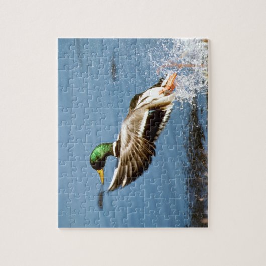 Mallard Drake Legpuzzel (Verticaal)