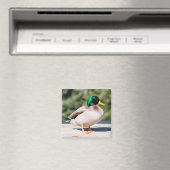 Mallard Drake Magneet (Insitu (Vaatwasser))