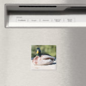 Mallard Drake Magneet (Insitu (Vaatwasser))