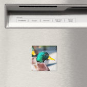 Mallard Drake Magneet (Insitu (Vaatwasser))