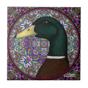 Mallard Drake Mosaic Circle Tegeltje