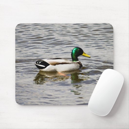 Mallard Drake Muismat (Met muis)