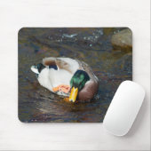 Mallard Drake Muismat (Met muis)