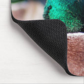 Mallard Drake Muismat (Hoek)