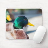 Mallard Drake Muismat (Met muis)