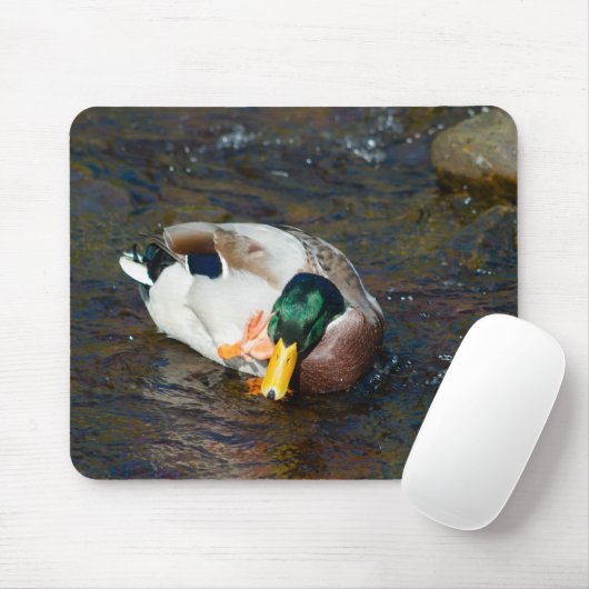 Mallard Drake Muismat (Met muis)
