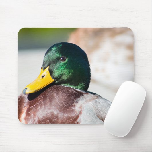 Mallard Drake Muismat (Met muis)