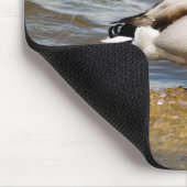 Mallard Drake Muismat (Hoek)