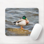 Mallard Drake Muismat (Met muis)